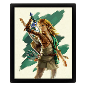 8X10 Shadowbox-Zelda-Totk-Link Unleashed