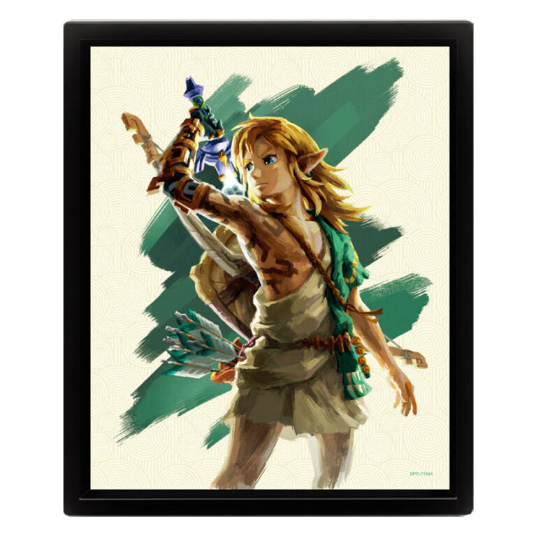 8X10 Boîte d'ombres-Zelda-Totk-Link Déchaîné