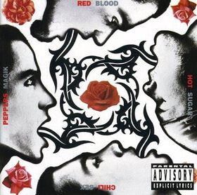 Red Hot Chili Peppers - Blood Sugar Sex Magik