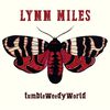 Lynn Miles - Tumbleweedyworld