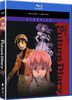 Future Diary AE: The Complete Series And Ova - Classic